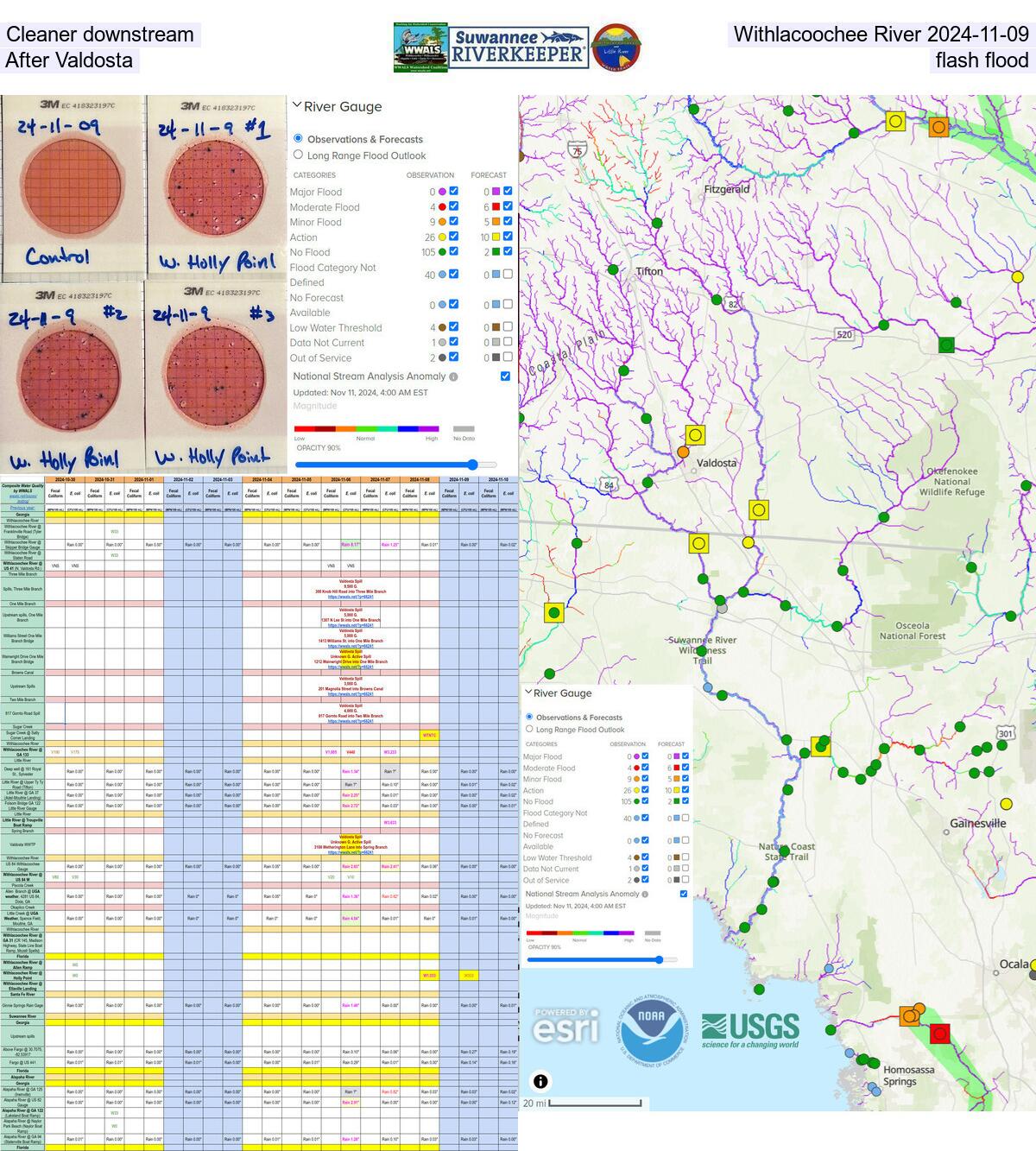 Cleaner downstream Withlacoochee River 2024-11-09 After Valdosta flash flood