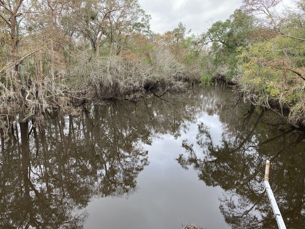 [Alapaha River above Sheboggy Boat Ramp 2024-11-10]