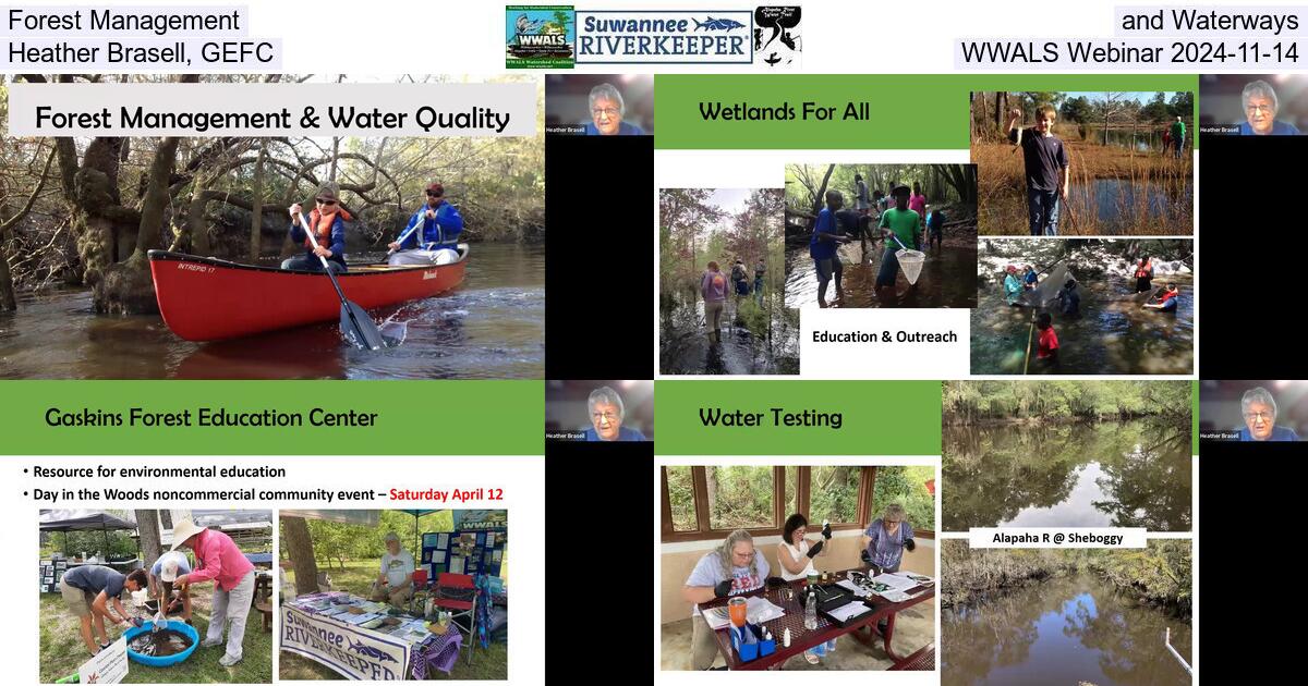 Forest Management and Waterways, Heather Brasell, GEFC, WWALS Webinar 2024-11-14