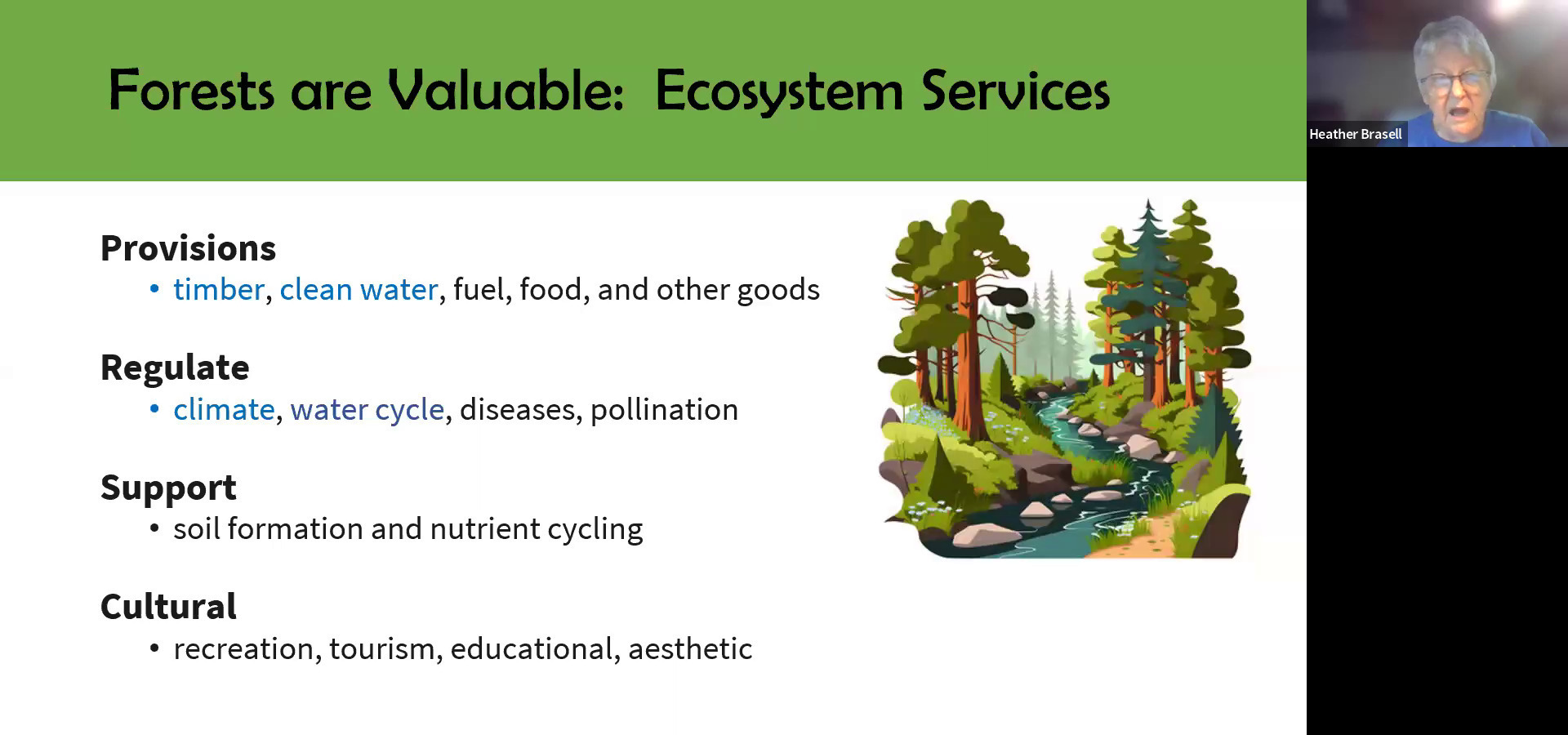 Forest Ecosystem Services