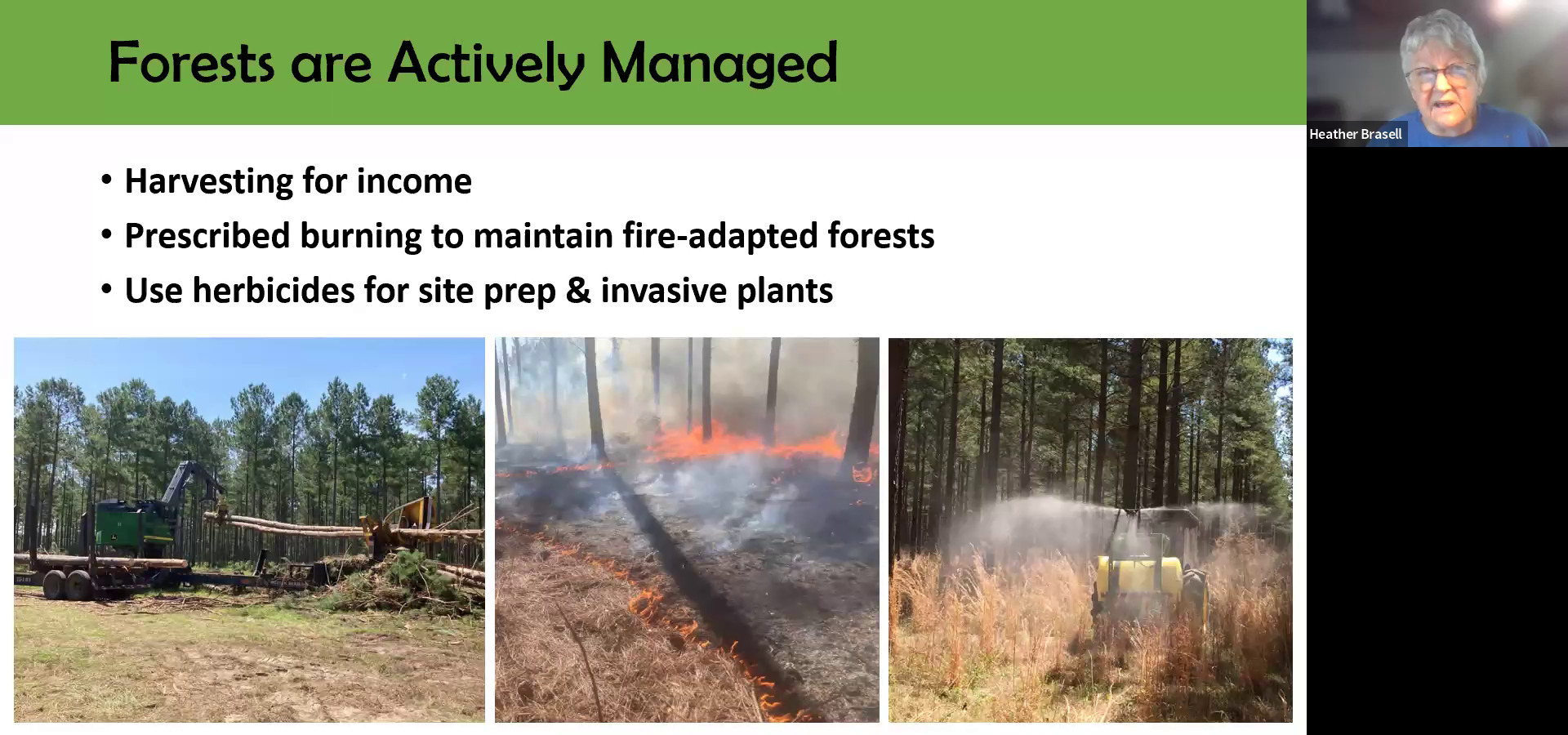 Forests Are Actively Managed