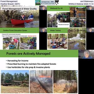 [Forest Management and Waterways, Heather Brasell, GEFC, WWALS Webinar 2024-11-14]