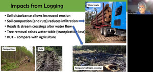 [Impacts from Logging]