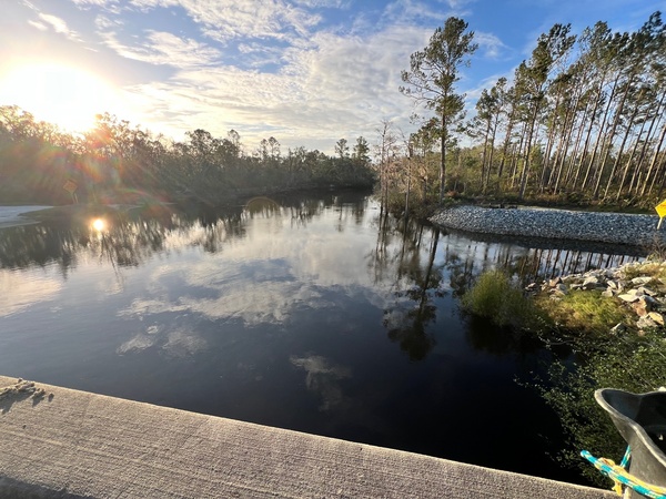 Lakeland Boat Ramp downstream, Alapaha River @ GA 122 2024-11-13