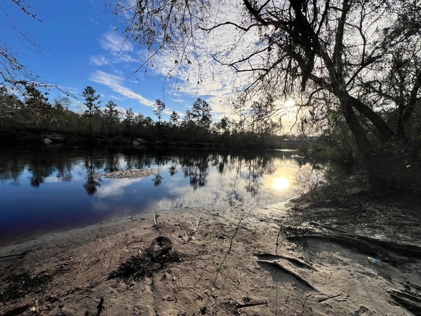 Naylor Park Beach upstream, Alapaha River @ US 84 2024-11-13