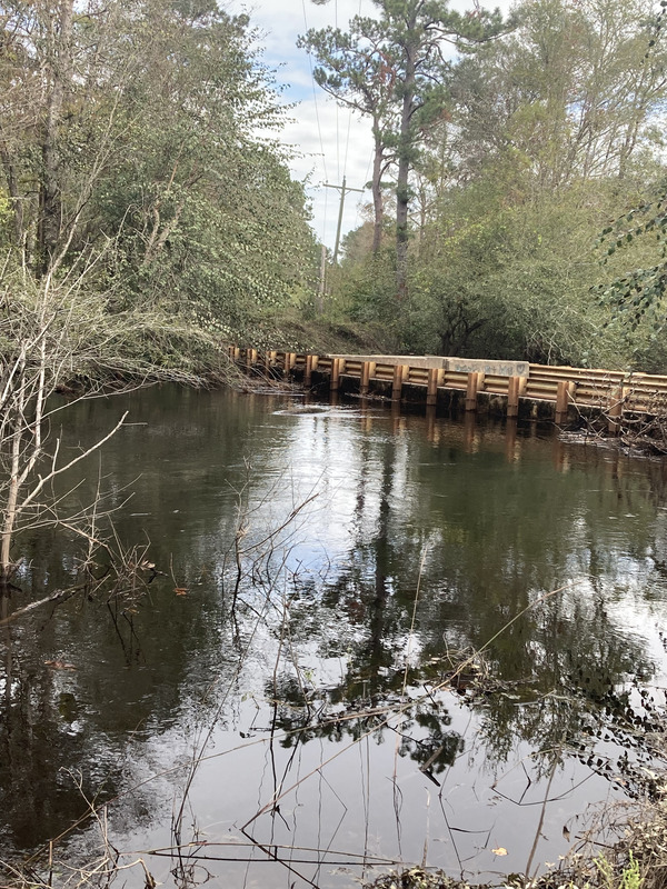 [Franklinville, Withlacoochee River @ Frankinville Road 2024-11-14]