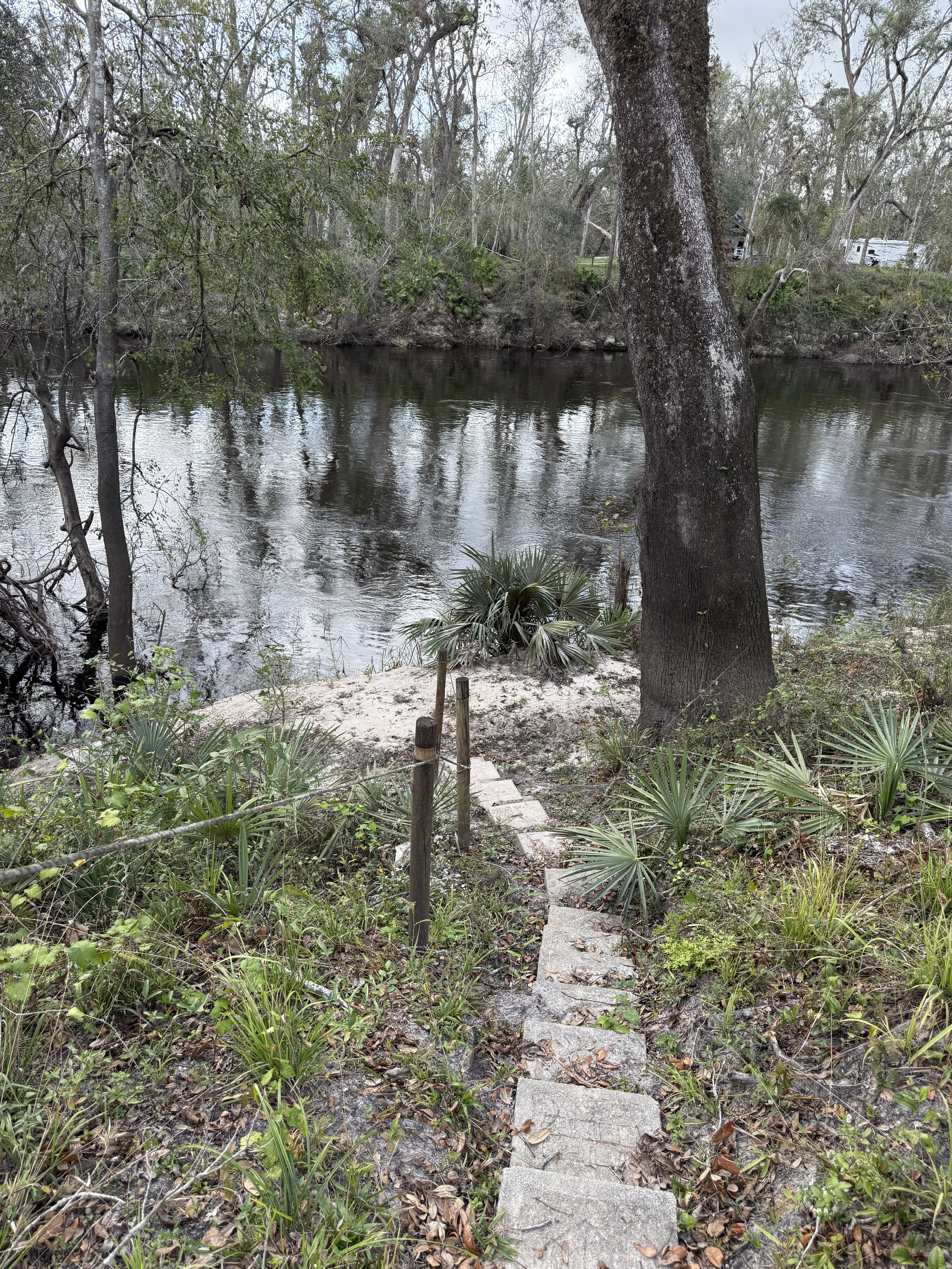 Holly Point, Withlacoochee River @ NE Withla Bluffs Way 2024-11-13