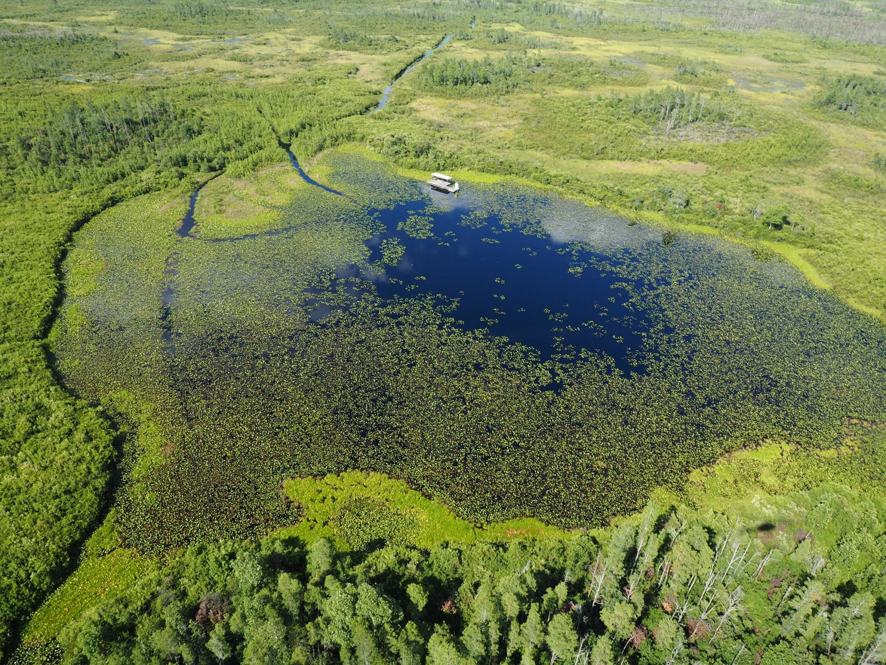 The Okefenokee National Wildlife Refuge is the largest in Georgia. (Courtesy of Michael Lusk)