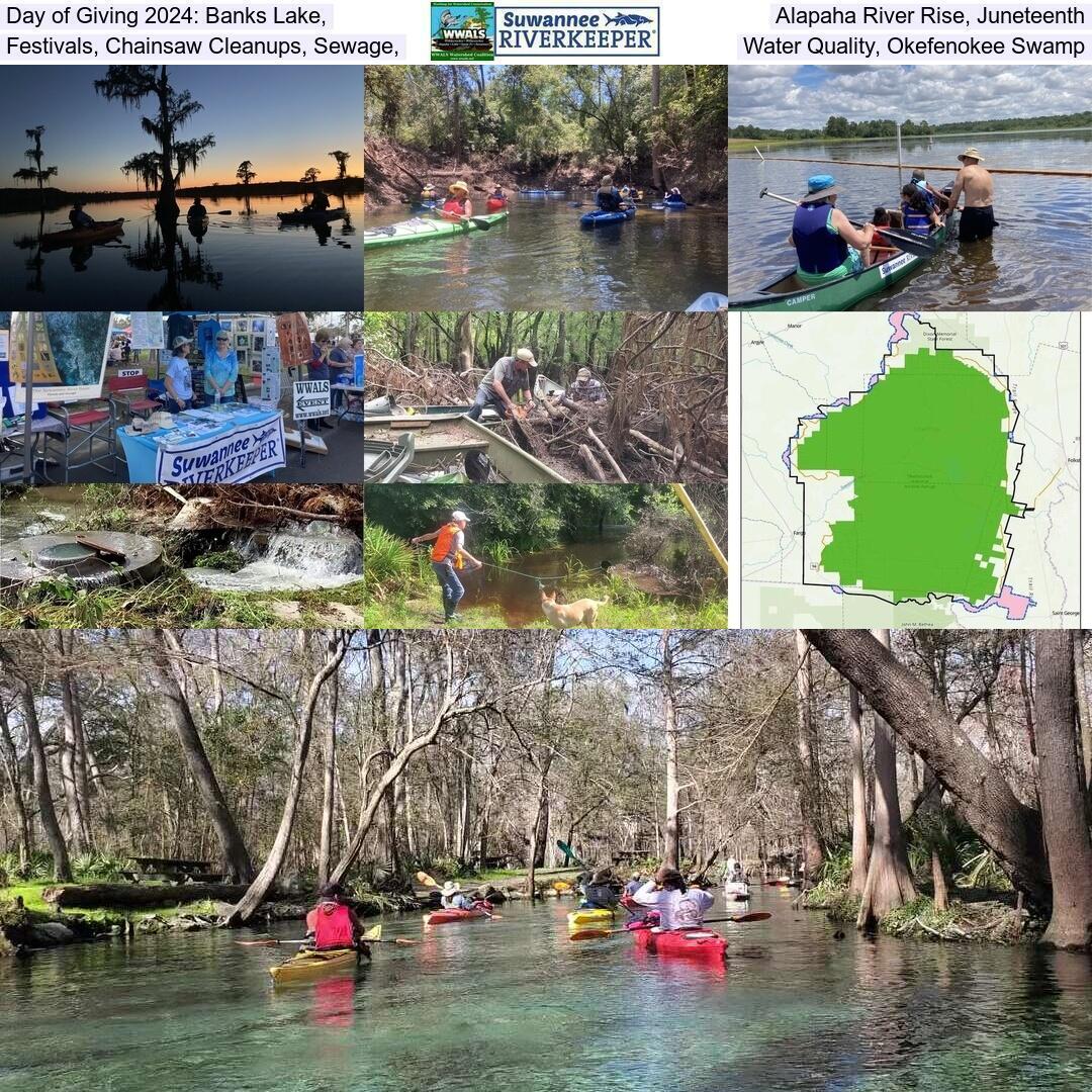 Day of Giving 2024: Banks Lake, Alapaha River Rise, Juneteenth, Festivals, Chainsaw Cleanups, Sewage, Water Quality, Okefenokee Swamp