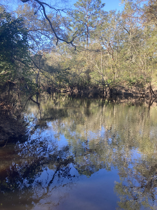 [Franklinville, Withlacoochee River @ Frankinville Road 2024-11-21]