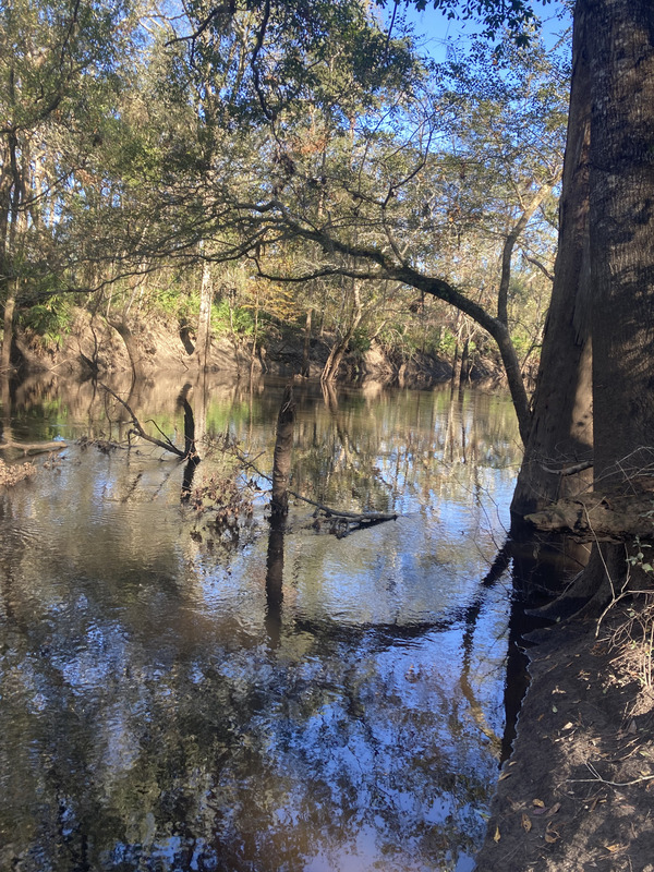 [Staten Road, Withlacoochee River @ Staten Road 2024-11-21]