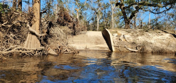 With hurricane deadfalls, 14:11:01, 30.8378501, -83.3701904