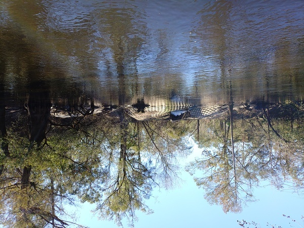 [Cleaned-up outflow, Withlacoochee Wastewater Plant --Phil Royce, 13:22:52]