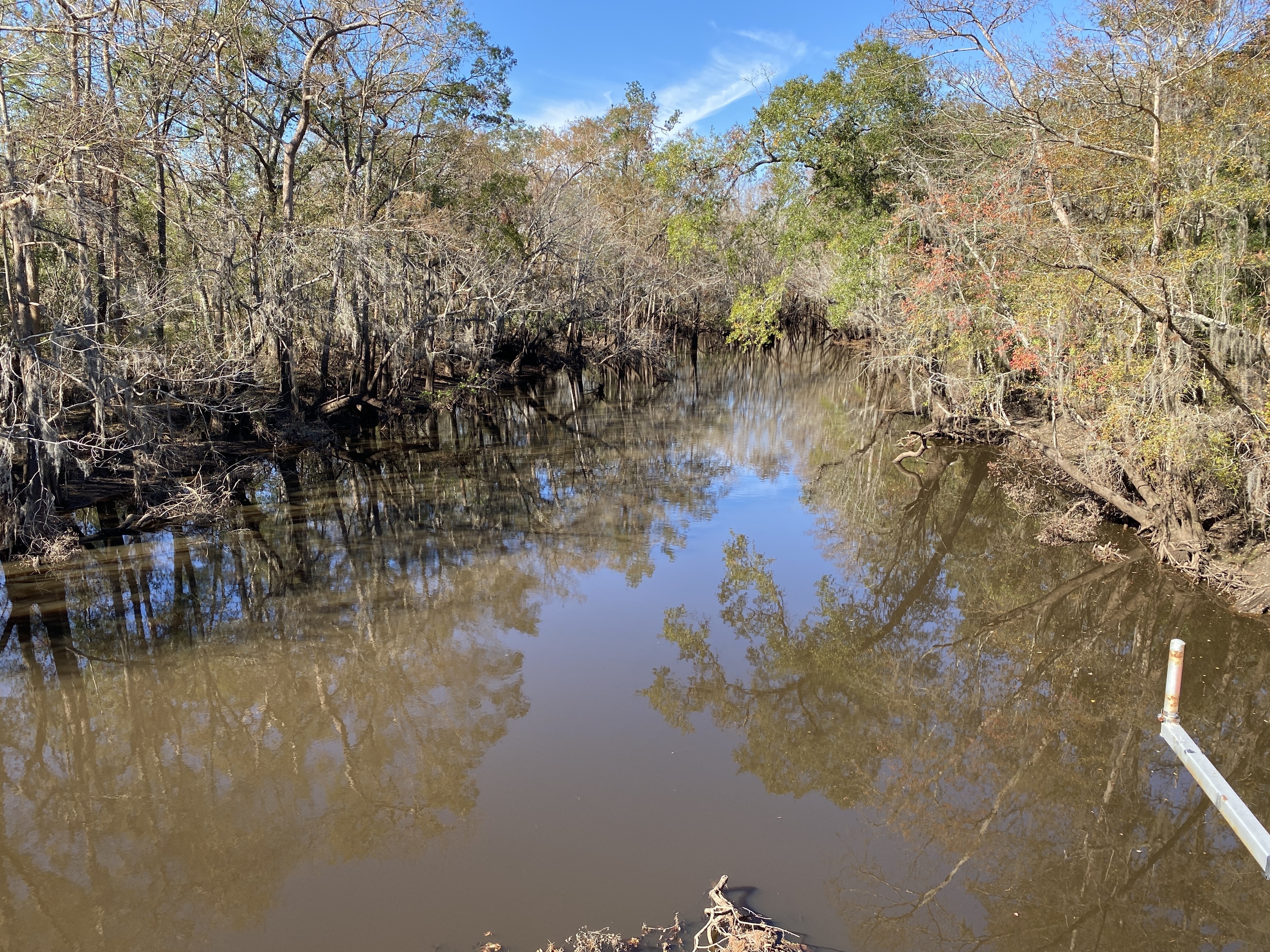 Above Sheboggy Boat Ramp, US 82, Alapaha River 2024-11-30