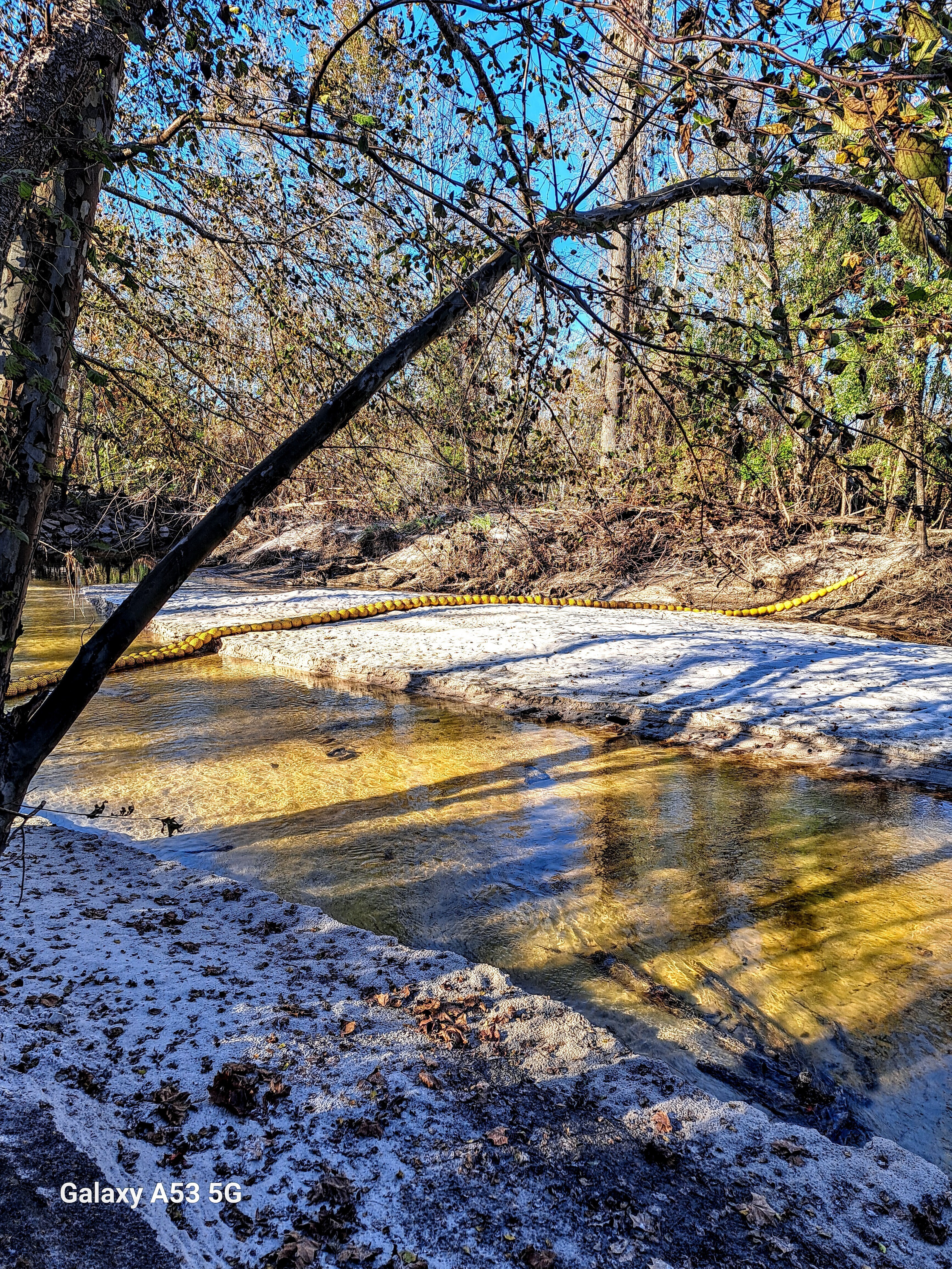 WaterGoat, Sugar Creek 2024-11-30