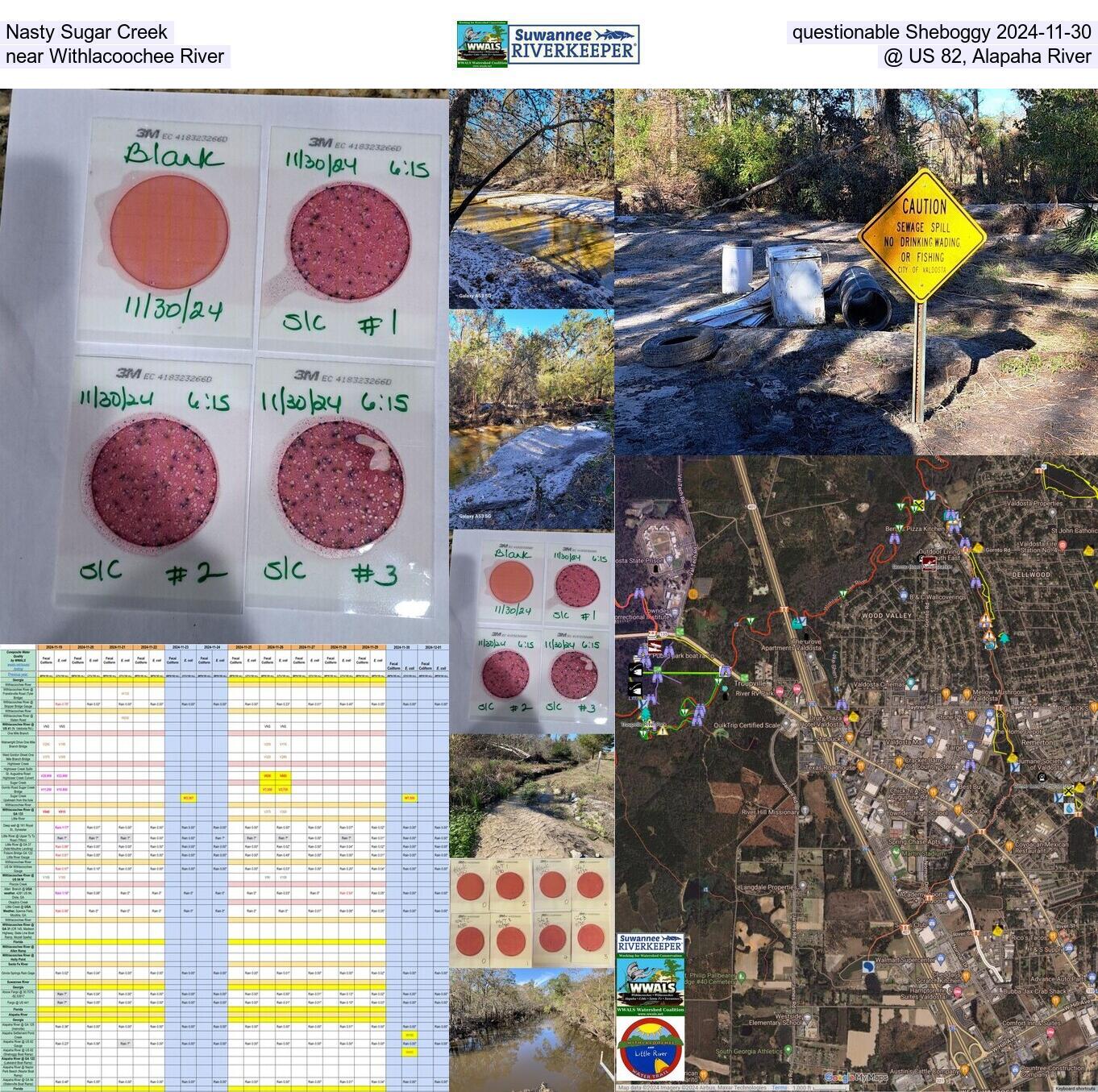 Nasty Sugar Creek near Withlacoochee River Questionable Sheboggy @ US 82, Alapaha River 2024-11-30