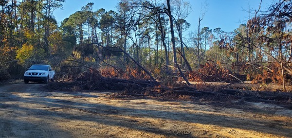 [Hyta Mederer Road, Langdale Park, Withlacoochee River 2024-12-02]