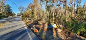 [Upstream railing, Country Club Road, Three Mile Branch 2024-12-02]