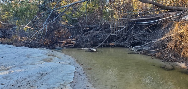 [Sugar Creek in front of Berta's Kitchen 2024-12-02]