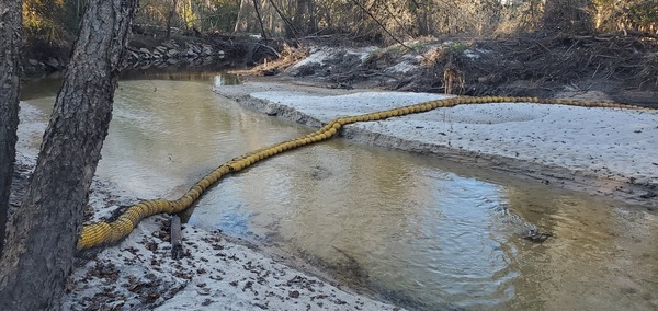 WaterGoat, Sugar Creek 2024-12-02