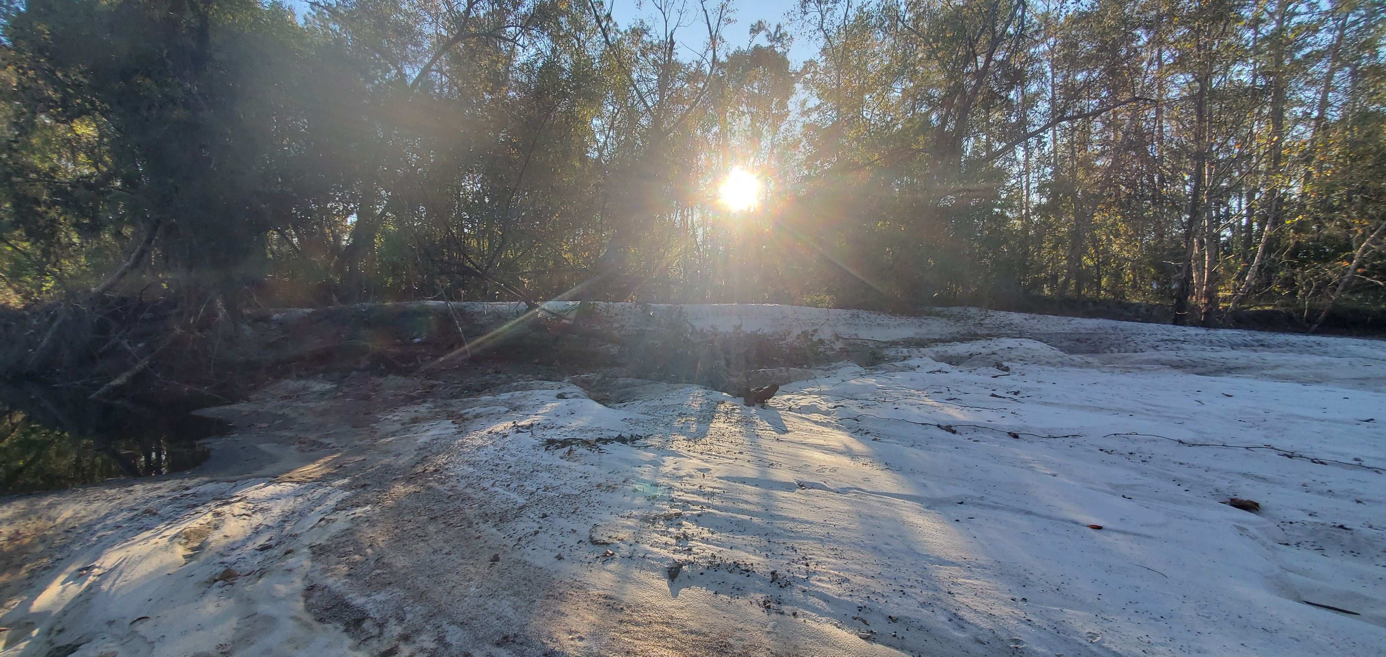 Sugar Creek looking west towards Berta's Kitchen 2024-12-02