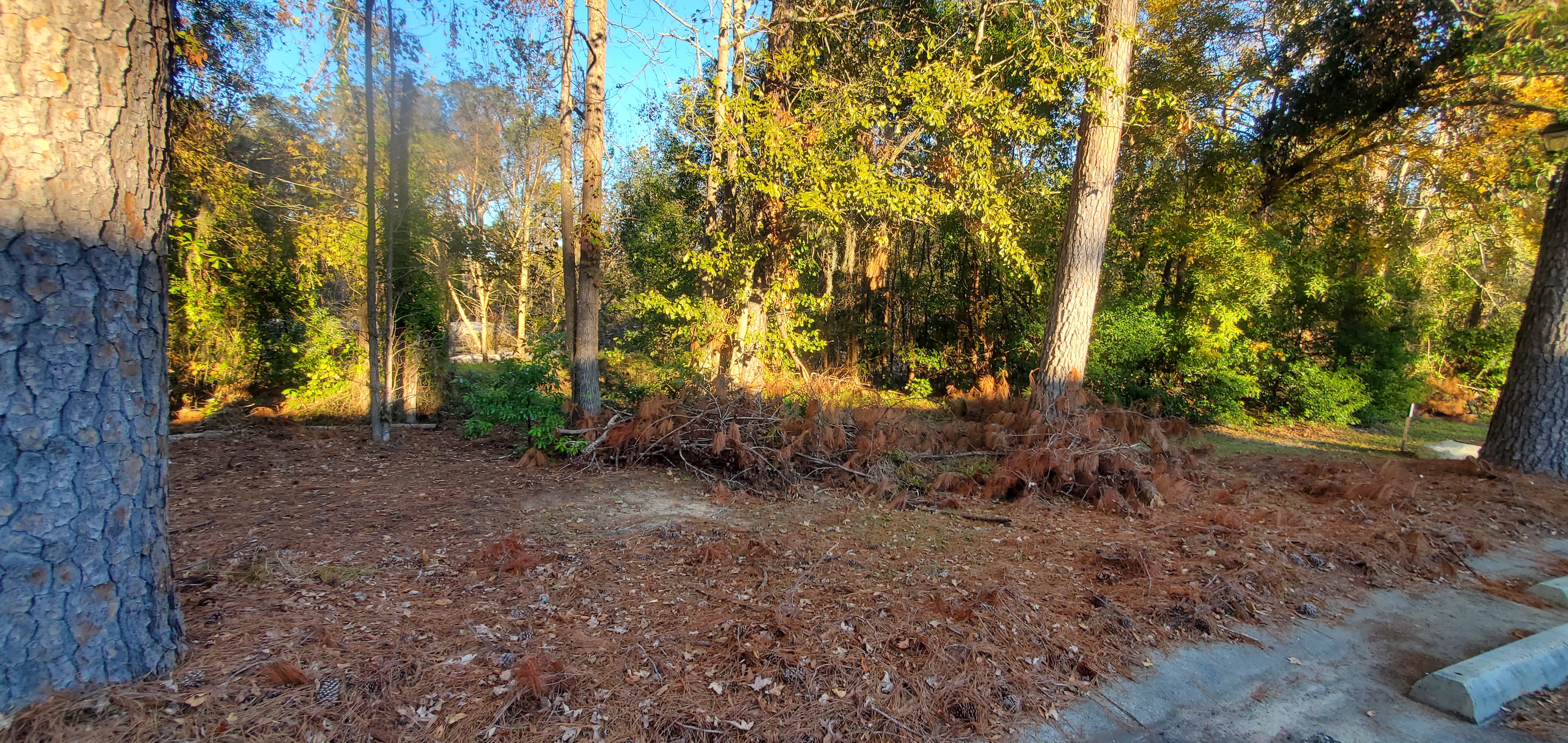 Looking from Berta's Kitchen to Sugar Creek 2024-12-02