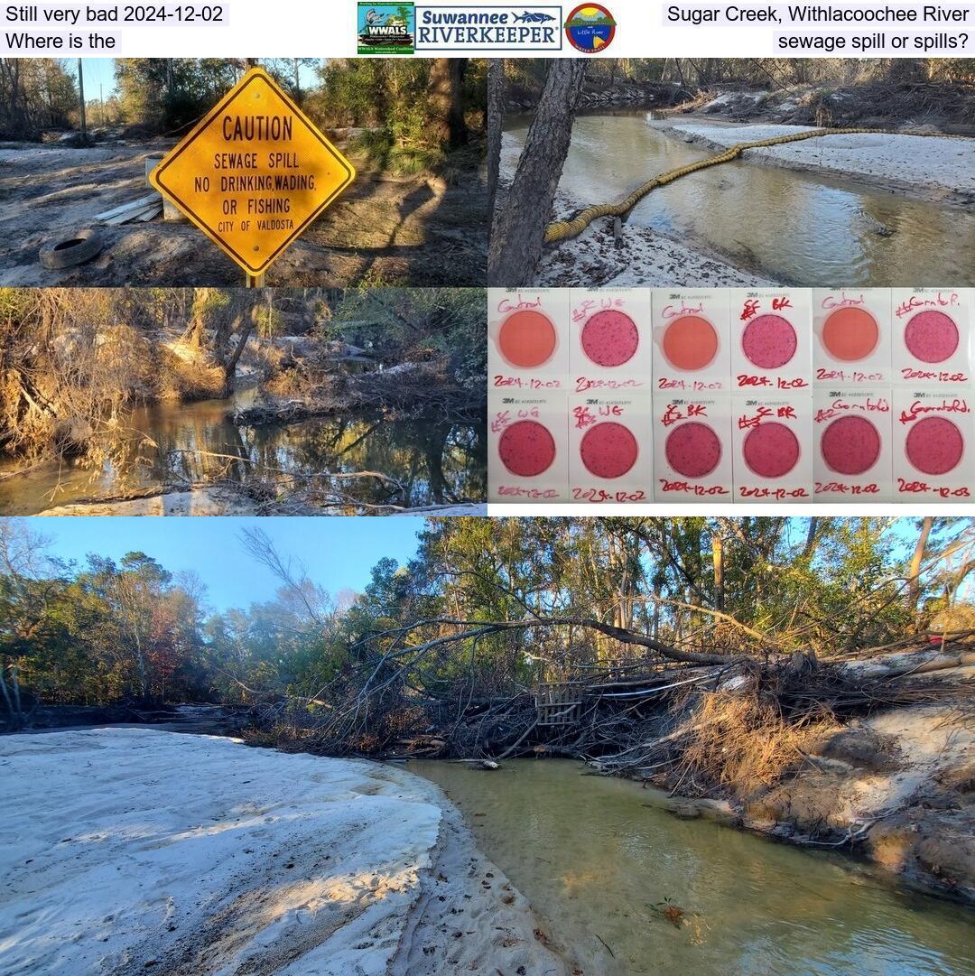 Still very bad 2024-12-02, Sugar Creek, Withlacoochee River, Where is the sewage spill or spills?