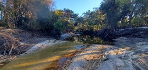 [Upstream, Sugar Creek in front of Berta's Kitchen 2024-12-02]