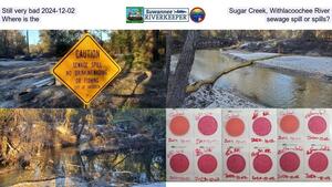 [Still very bad 2024-12-02, Sugar Creek, Withlacoochee River, Where is the sewage spill or spills?]