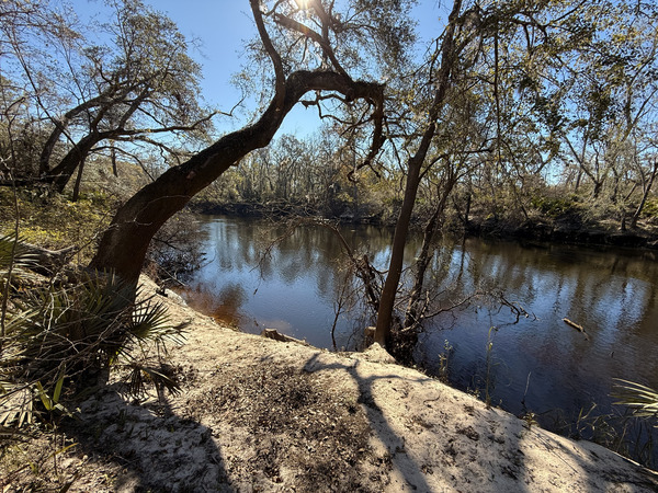 [Holly Point, Withlacoochee River @ NE Withla Bluffs Way 2024-12-05]