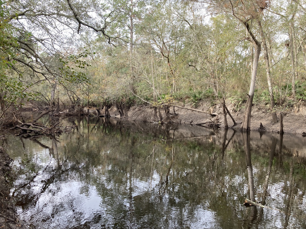 [Staten Road, Withlacoochee River @ Staten Road 2024-12-05]