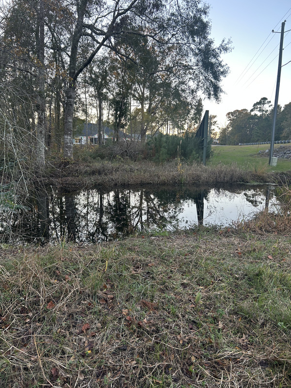 [Franks Creek @ GA 122 2024-12-11, 17:20:36, 30.9936056, -83.3936611]