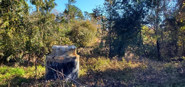 Manholes on each side of Sugar Creek, 2024-12-12, 12:06:47, 30.8428656, -83.3127505