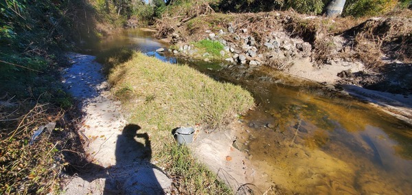 [Sample site upstream of sewer line across Sugar Creek, 2024-12-12, 12:18:58, 30.8427092, -83.3123106]