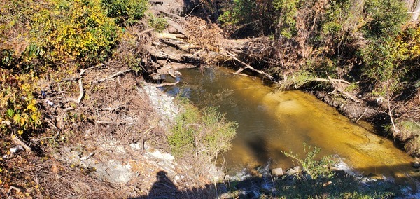 Trash at Baytree Road, Sugar Creek 2024-12-12, 12:45:43, 30.8470014, -83.3145335