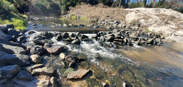 [Sewer line across Sugar Creek above NSFRR 2024-12-12, 13:03:40, 30.8520267, -83.3147755]