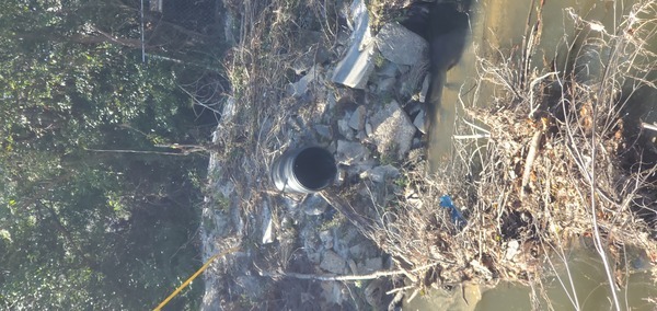 Drainpipe and logjam, Sugar Creek 2024-12-12, 13:08:13, 30.8508059, -83.3144571