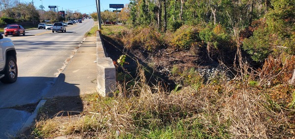 Baytree Road and Goodyear sign, Sugar Creek 2024-12-12, 13:16:44, 30.8470909, -83.3137008