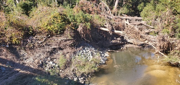 Trash in the stream, Sugar Creek 2024-12-12, 13:17:04, 30.8470909, -83.3137008