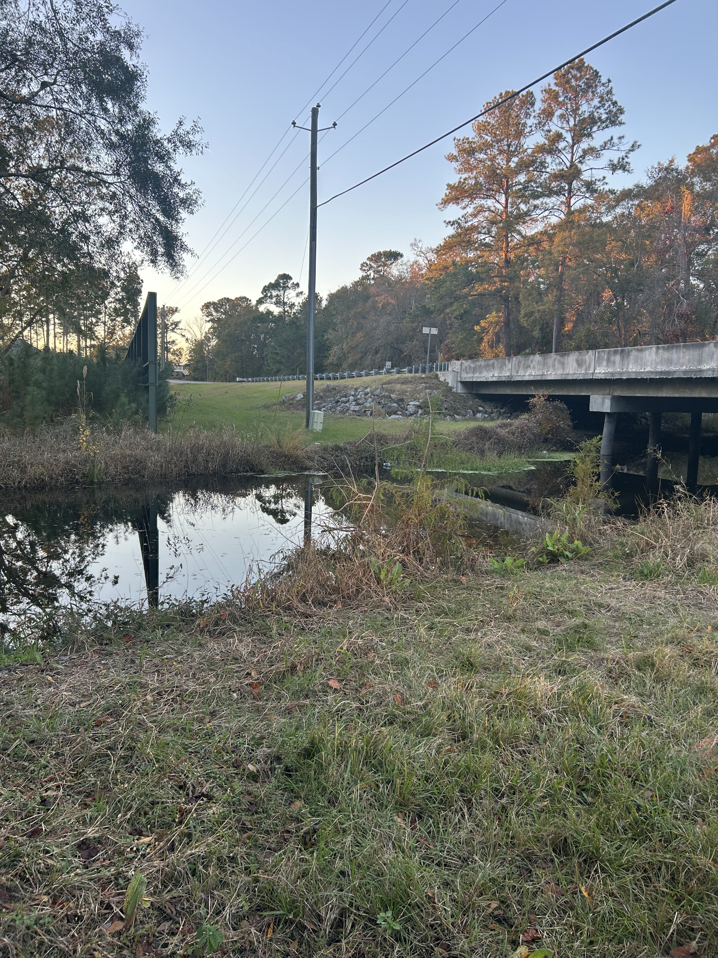 Franks Creek @ GA 122 Other 2024-12-11, 17:20:41, 30.9936250, -83.3936833