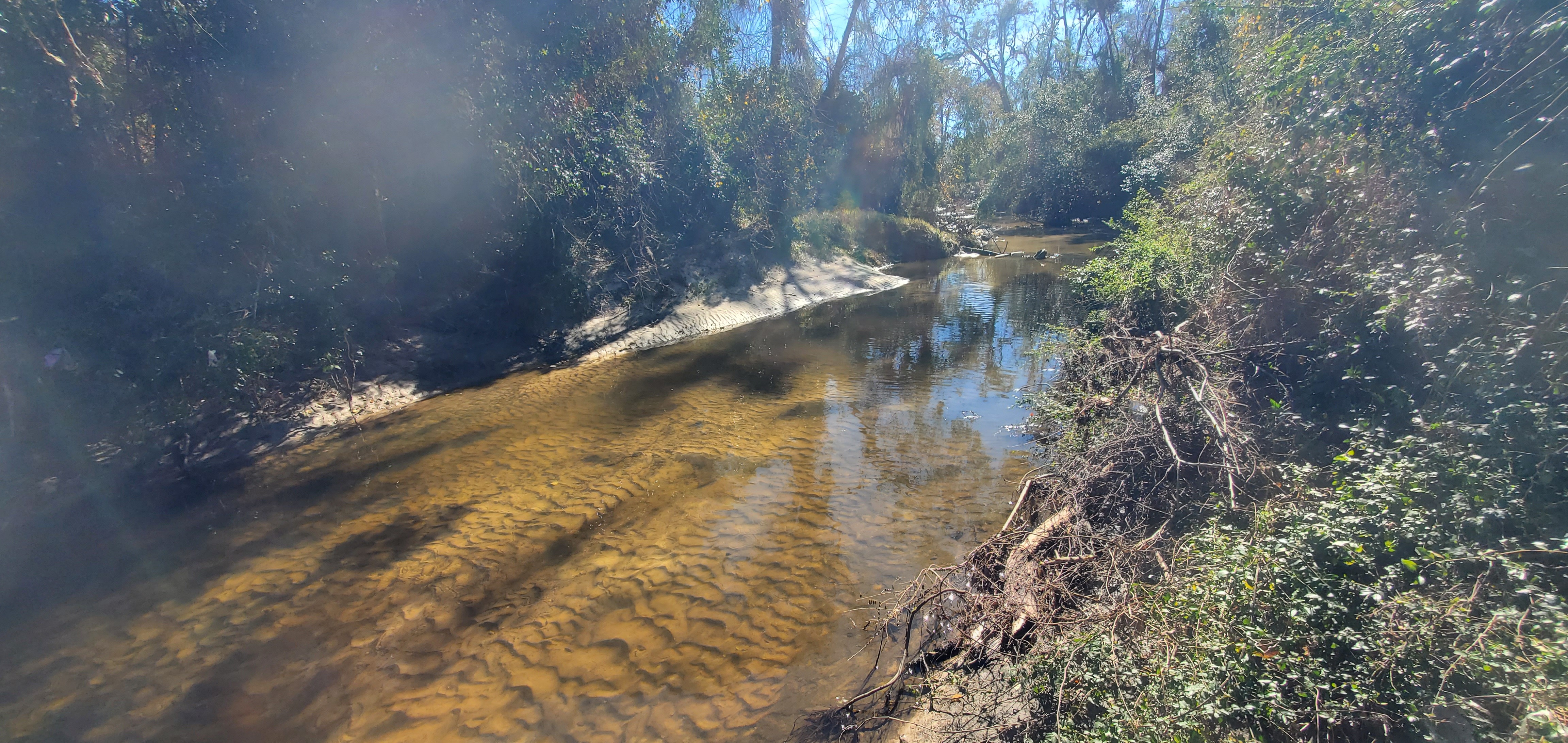 Upstream Sugar Creek, 2024-12-12, 12:19:02, 30.8427092, -83.3123106