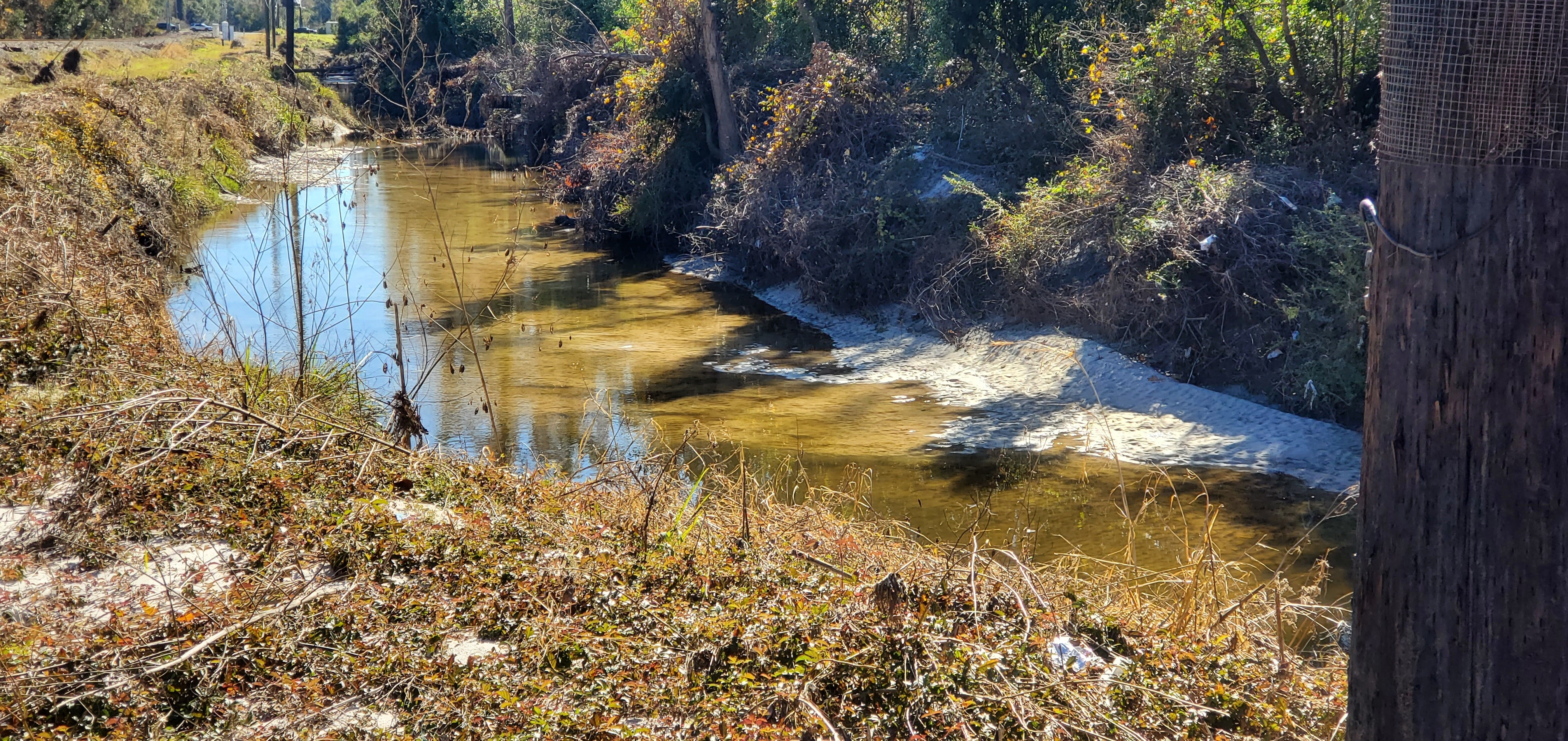 Sandbar, Sugar Creek 2024-12-12, 13:05:59, 30.8515325, -83.3148838