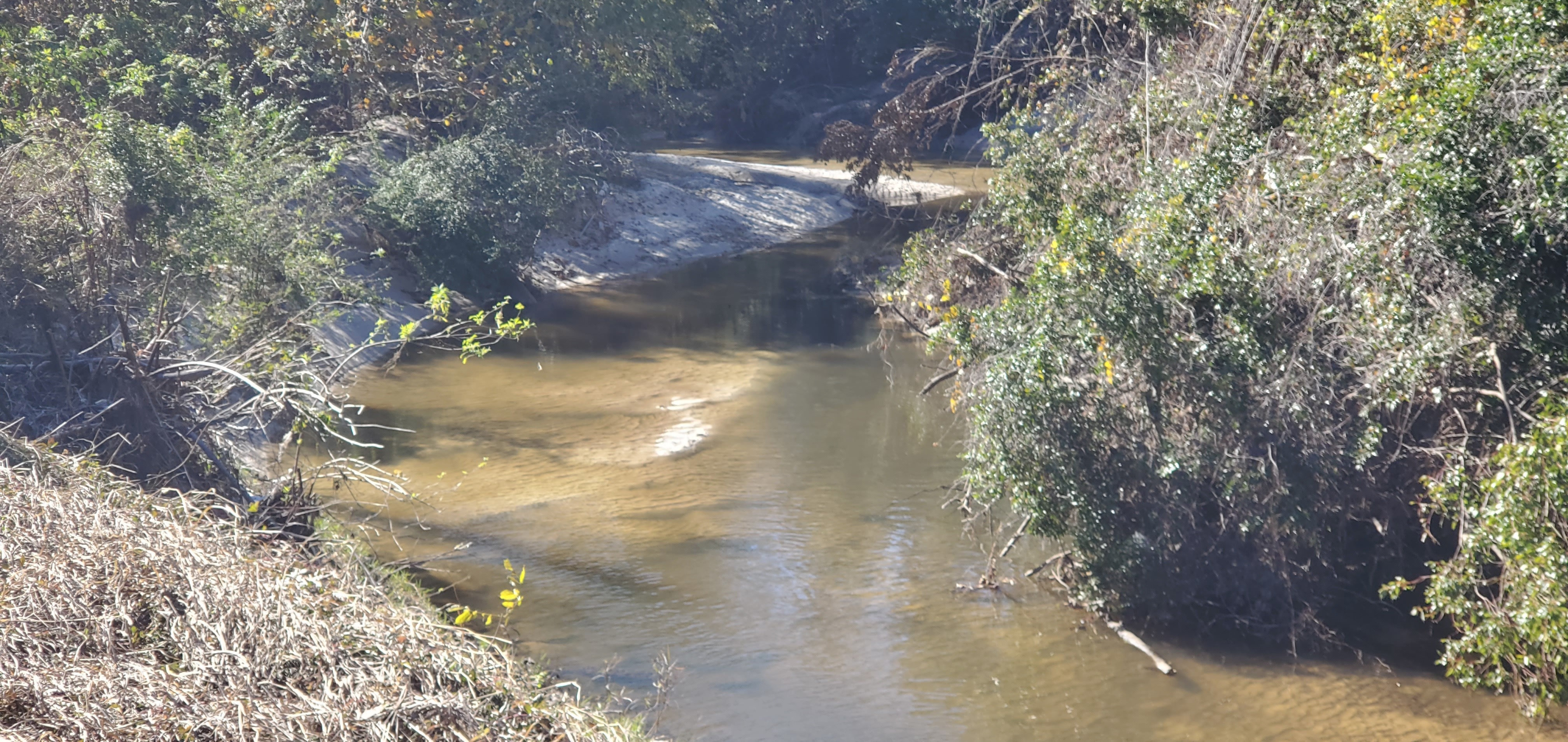 Bends below Baytree Road, Sugar Creek 2024-12-12, 13:13:43, 30.8483673, -83.3135081