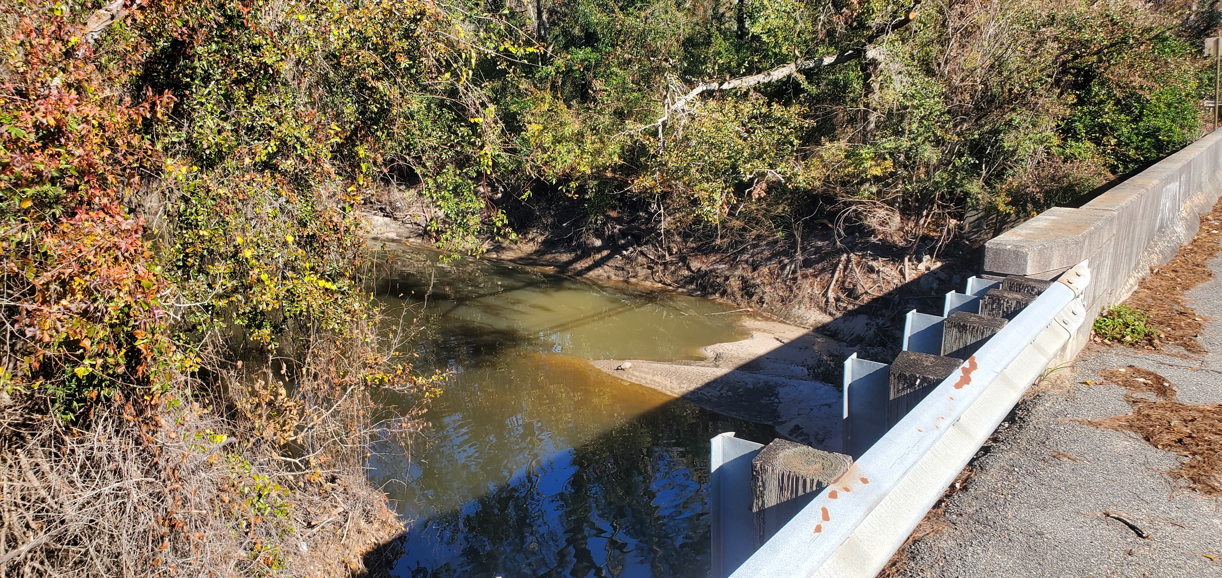 Sugar Creek at Gornto Road, 2024-12-12, 13:36:04, 30.8597967, -83.3174163