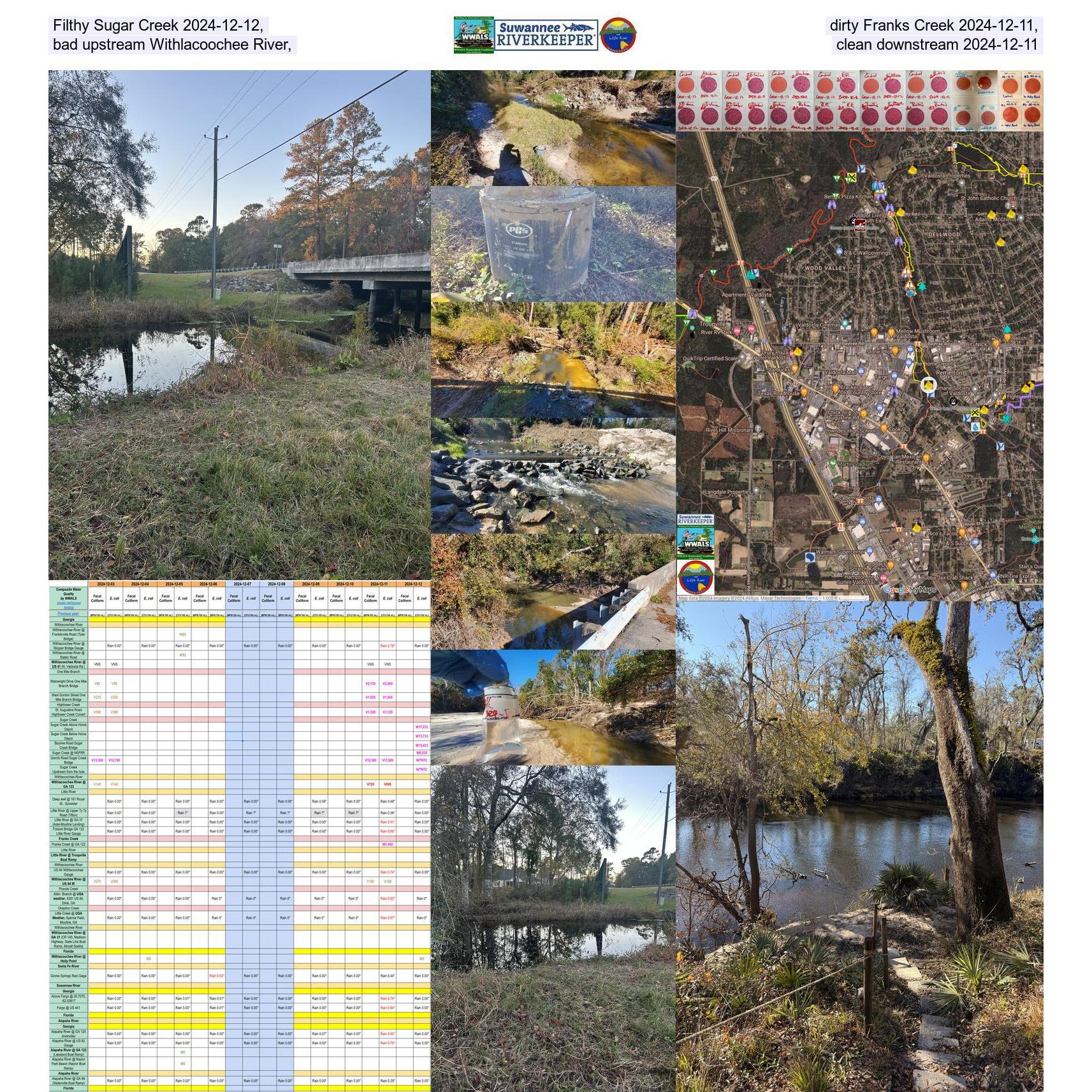 Filthy Sugar Creek 2024-12-12, dirty Franks Creek 2024-12-11, bad upstream Withlacoochee River, clean downstream 2024-12-11