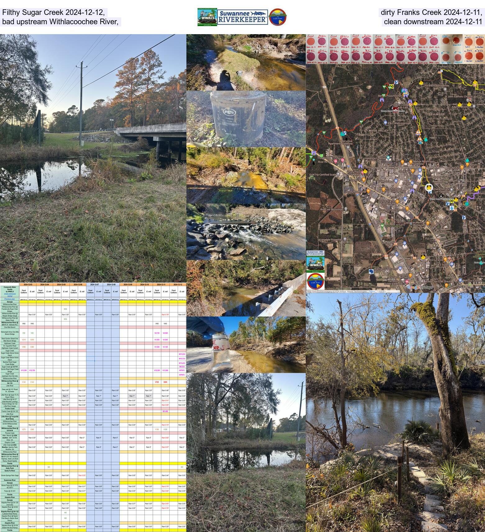 [Filthy Sugar Creek 2024-12-12, dirty Franks Creek 2024-12-11, bad upstream Withlacoochee River, clean downstream 2024-12-11]