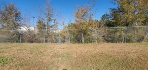 [Context, Cattle egret in Home Depot retention pond, 2024-12-12, 12:04:16, 30.8433158, -83.3144739]