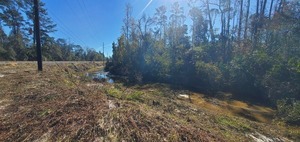 [Looking upstream (south) towards Baytree Road, Sugar Creek 2024-12-12, 13:05:22, 30.8518670, -83.3147960]