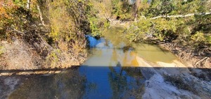 [Sample site, Sugar Creek at Gornto Road, 2024-12-12, 13:36:29, 30.8598271, -83.3172397]