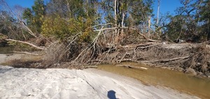 [Trash downstream, Sugar Creek in front of Berta's Kitchen, 2024-12-12, 13:48:21, 30.8612116, -83.3178400]